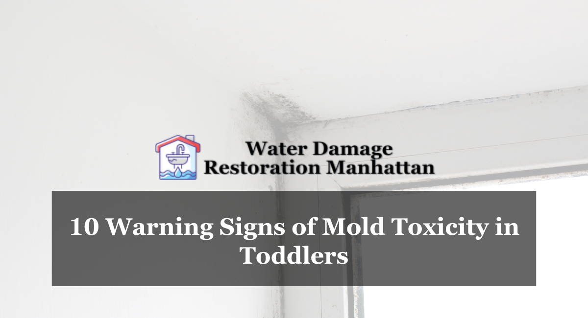 10 Warning Signs of Mold Toxicity in Toddlers