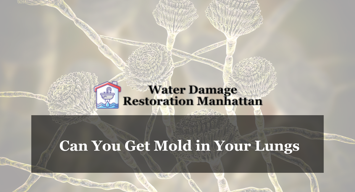 Can You Get Mold in Your Lungs