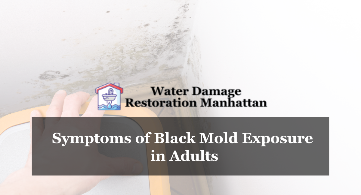 Symptoms of Black Mold Exposure in Adults